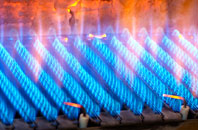 Tegryn gas fired boilers